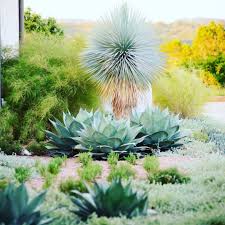 Garden Design By Eden Garden Design In Austin Texas Texas Landscaping Backyard Xeriscape Landscaping Xeriscape Front Yard