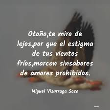 Y si esta no llega, a continuación te dejamos una carta de cumpleaños para un amante, con una felicitación a un amor prohibido de lo más especial. Frases Para Amantes Prohibidos Literato 3
