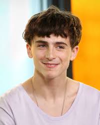 See more of timothée chalamet on facebook. Timothee Chalamet S Haircut Looks Awfully Familiar