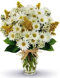 Maybe you would like to learn more about one of these? Anniversary Enchanted Florist At En Vogue