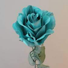 We did not find results for: Artificial Roses Teal Blue With Grey Green Leaves Silk Flowers