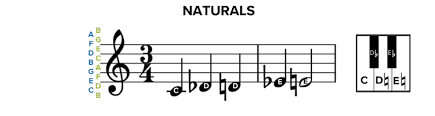 How To Read Sheet Music Step By Step Instructions