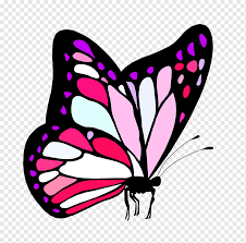 Maybe you would like to learn more about one of these? Monarch Butterfly Drawing Borboleta Painting Cabbage White Line Art Moths And Butterflies Pink Insect Butterfly Drawing Monarch Butterfly Png Pngwing
