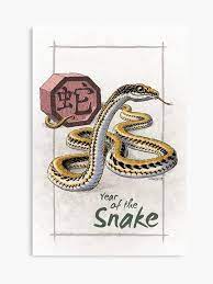 Chinese Zodiac Year Of The Snake Canvas Print Year Of The Snake Chinese Zodiac Snake Zodiac