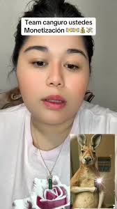 Monetization Strategies for TikTok Content Creators