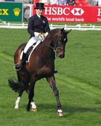 Yorkshireman townend, meanwhile, also heads the individual race for gold on 23.60, with a narrow advantage over germany's julia krajewski. Dream Start For Young Laura Collett At Badminton Horse Sport