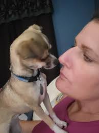 Slick loves his kitty