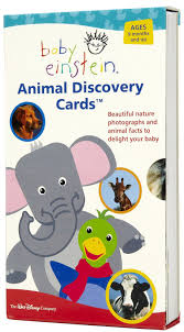 Baby Einstein Animal Discovery Cards Baby Einstein Discovery Card Animal Facts