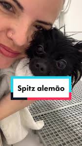 Pontinho Preto No Spitz