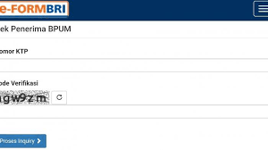 Screenshoottampilan eform.bri.co.id untuk cek penerima bpum 2021. Ini Cara Mengetahui Dapat Atau Tidak Blt Umkm Rp 1 2 Juta Yang Dicairkan Login Eform Bri Co Id Bpum Tribun Madura