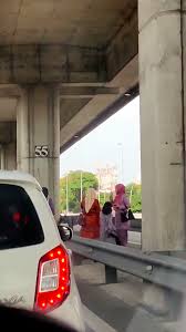 Gajah adalah mamalia besar dari famili elephantidae dan ordo proboscidea.secara tradisional, terdapat dua spesies yang diakui, yaitu gajah afrika (loxodonta africana) dan gajah asia (elephas maximus), walaupun beberapa bukti menunjukkan bahwa gajah semak afrika dan gajah hutan afrika merupakan spesies yang berbeda (l. Xpidipzwpbcowm