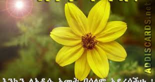 Happy New Year Ethiopian Card Addiscard Net New Year Card Newyear New Years Song