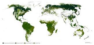 Deciduous Forest Location Map The World's Forests Mapped - Vivid Maps