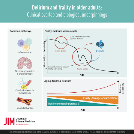 Delirium and frailty in older adults: Clinical overlap and biological  underpinnings - Bellelli - 2024 - Journal of Internal Medicine - Wiley  Online Library