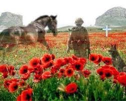 Police Dog Quest On Twitter Remembrance Day Poppy Remembrance Day Art Remembrance Day