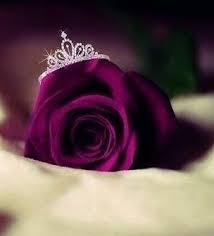 Sweet dp for whatsapp pictures photo images wallpaper hd. Pretty Rose Gold Flowers Wallpaper Novocom Top
