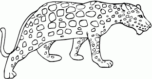 Such as png, jpg, animated gifs, pic art, logo, black and white, transparent, etc. Cheetah Coloring Pages To Print Coloring Home