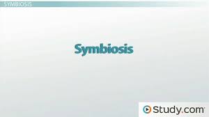 Symbiotic Relationships Mutualism Commensalism Parasitism