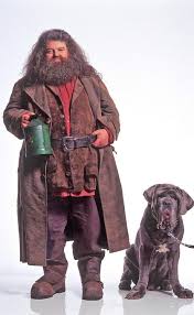 Hagrid Fang Harry Potter Characters Harry Potter Harry Potter Movies