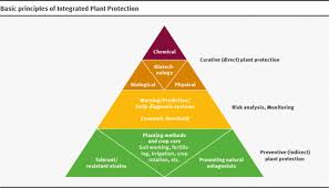We provide a variety of introductory and specialist training programmes through our unique training pathway. 5 Point Programme For Sustainable Plant Protection Environmental Sciences Europe Full Text