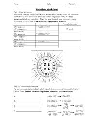 Start studying genetic mutations pogil. Chromosome Mutation Activity Worksheet Answers