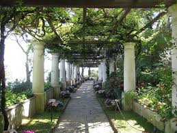 Pin Von Guadalupe Pidal Auf Jardines Italienischer Garten Capri Italien Insel Capri