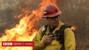Conflagración de dibujos animados de bomberos, incendios forestales profundos, comida, bombero, fotografía png Incendios Forestales En California Bbc News Mundo