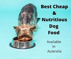 Learn about the worst dog food brands and discover the best dog foods of 2021 to ensure your furry friend is getting the nutrition they deserve. Best Cheap Dog Food Australia 2021 Buyers Guide Gentledogtrainers Com Au