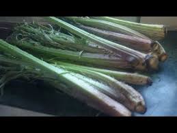 طريقة جد سهلة وصحية لتنقية القنارية الخرشوف مع الحاجة جارتي Youtube Food Vegetables Asparagus