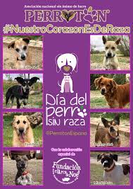 Somos miembros de pleno derecho de la unión mundial de clubes del perro de pastor alemán (w.u.s.v.) desde el año 1979. 28 De Mayo Dia Del Perro Sin Raza