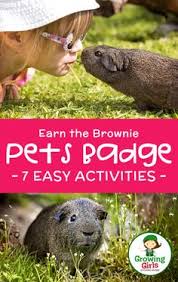 Owning one is like having another family member, as many people take their furry friends on errands, on vacations and some even carry them around in special dog and cat strollers! 70 Pets Badge Ideas Girl Scout Brownies A World Of Girls Brownie Pet Badge Pets Brownie Girl Scouts