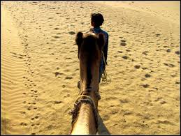 Dune safari camp is a premium desert camp in sam dunes area offering ac cottages, tents and ac restaurant. Camel Safari In Jaisalmer The Ultimate Checklist Hippie In Heels