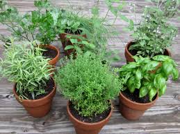 Find an empty windowsill that gets ample sunlight. How To Design A Herb Garden Gazebodesign