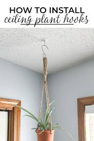 Two Ways To Install A Ceiling Hook For Plants Pretty Handy Girl