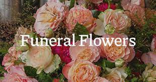 We did not find results for: Home Flowers By Zoe Hayes Middlesex