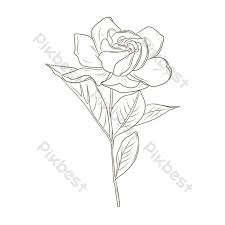 Gardenia Flower Line Shape Pattern Png Images Psd Free Download Pikbest