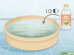 Laminate hardwood floor cleaner new an oil and vinegar wood description: 4 Ways To Clean Wood Laminate Floors Wikihow