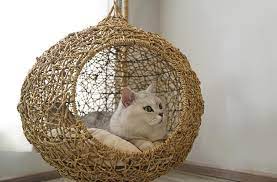 Olomucc dog beds,summer cool bed for dogs with sleeping kennel mat portable pet pad dog rattan mat dog bed ,easy clean indoor or outdoor use for small medium large dogs cats. Swing Rattan Weaving Cushion Home Decor Summer Pet Bed For Cats Pawsmeme Modern Cat Bed Pet Bed Modern Cat