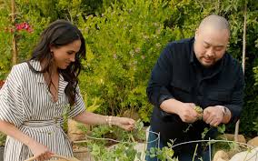 Meghan Markle: Polêmica e Críticas Afloram em Novo Projeto! - Imagen principal del artículo