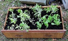 Repurposed Dresser Drawers Into Raised Beds Upcycled Planter Repurposed Dresser Old Dresser Drawers
