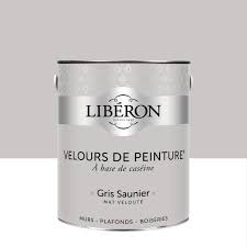 Peinture Mur Boiserie Radiateur Liberon Gris Saunier Velours 2 5 L En 2020 Liberon Peinture Mur Boiserie