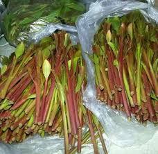 القات في اليمن Food Vegetables Asparagus