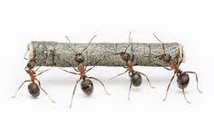 Epingle Sur Astuces