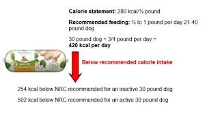 pet food feeding recommendations concerns truth about pet food