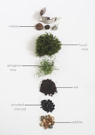 Herbs Terrarium Moss Terrarium Terrarium Plants Closed Carnivorous Plants Terrarium Crested Diy Moss Terrarium Diy Succulent Terrarium Succulent Terrarium