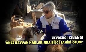 Hayvanlari Siyasi Malzeme Yapmayin Iz Gazete Izmir In Gazetesi