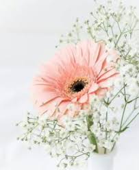 الحياة الزوجية هو أكبر منتدى خاص بحياة الزوجين والمشاكل الزوجية وحلولها إضافة إلى مواضيع الثقافة الجنسية والزوجية وحلول المشاكل، ودليلك لكل مواضيع الموضة والجمال والتجميل والطب والرجيم والشعر والأدب. ØµÙˆØ± Ù„Ù„ÙƒØªØ§Ø¨Ø© Ø¹Ù„ÙŠÙ‡Ø§ Ø±Ù…Ø³Ø© Ø¹Ø±Ø¨