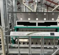 Coriander Seed Nir Infrared Optical Color Sorter Machine For ...