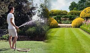 Most lawns need about an inch of rainfall a week to maintain a healthy, green appearance throughout the summer. How To Keep Your Grass Green Don T Water Your Lawn Every Dday Even In Summer Express Co Uk