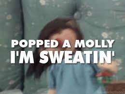 Image 697413 Popped A Molly I M Sweatin Know Your Meme
